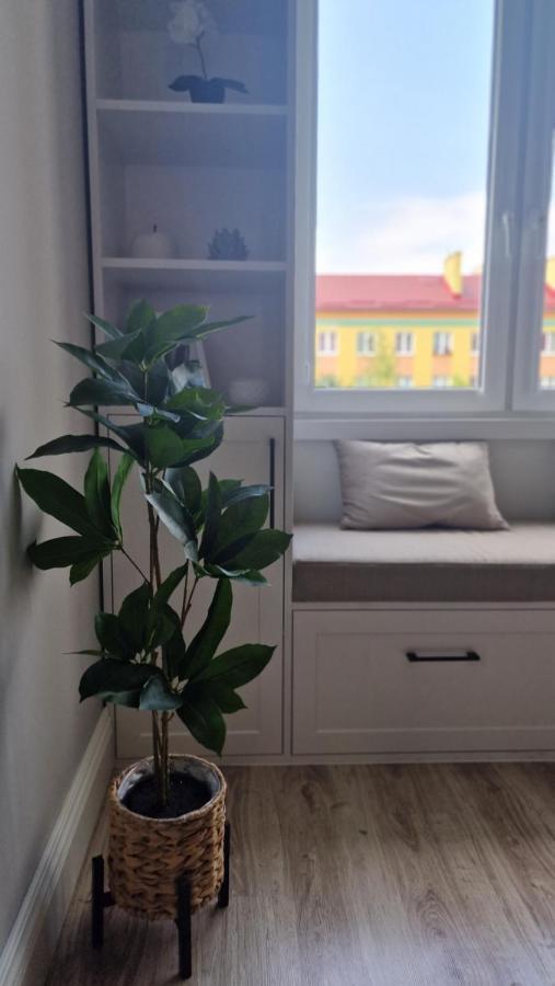 Alfama Garden Lägenhet Grudziądz Exteriör bild