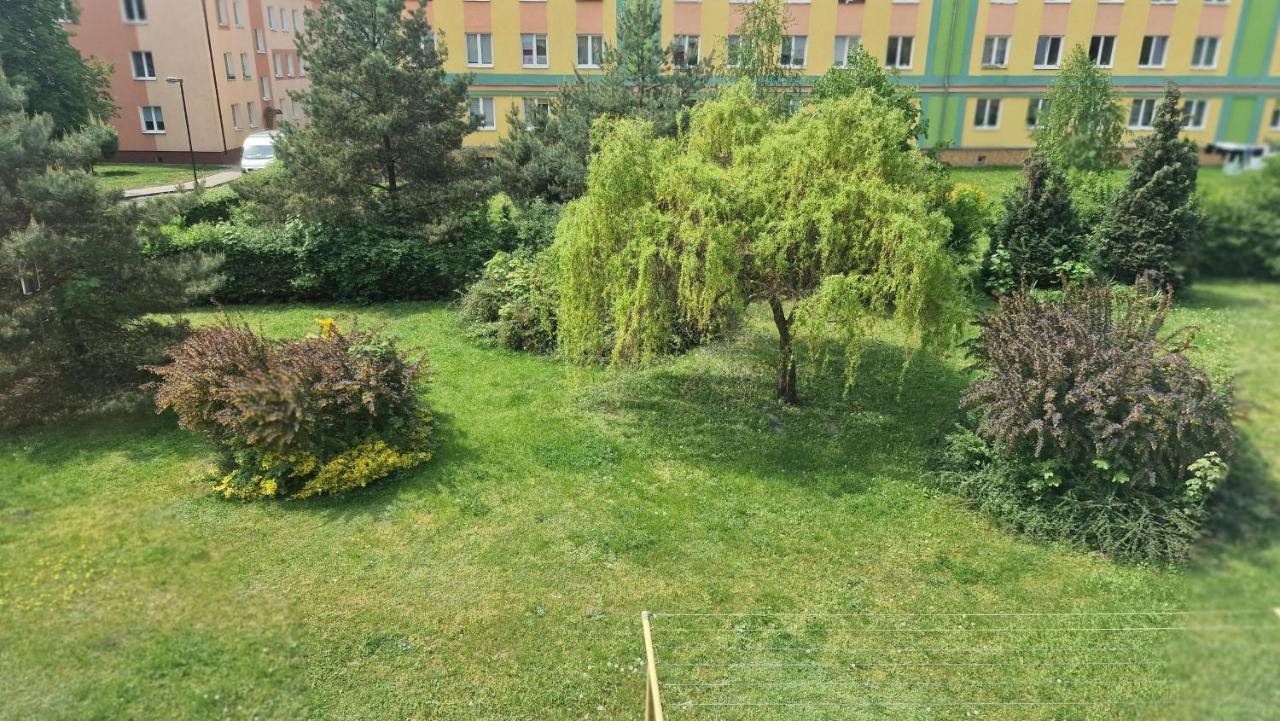 Alfama Garden Lägenhet Grudziądz Exteriör bild